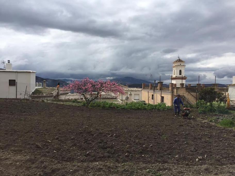 La Casa Rural De Paco Y Ana Pitres Exteriör bild