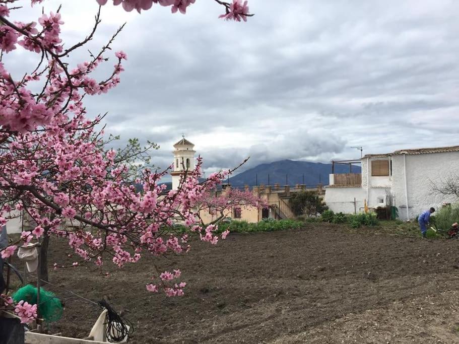 La Casa Rural De Paco Y Ana Pitres Exteriör bild