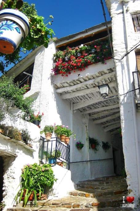 La Casa Rural De Paco Y Ana Pitres Exteriör bild