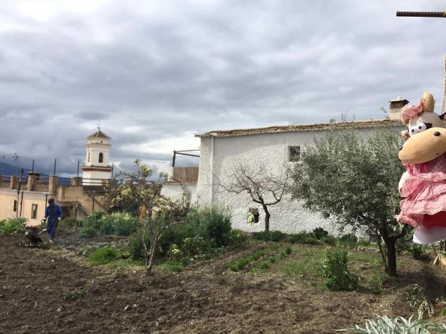 La Casa Rural De Paco Y Ana Pitres Exteriör bild